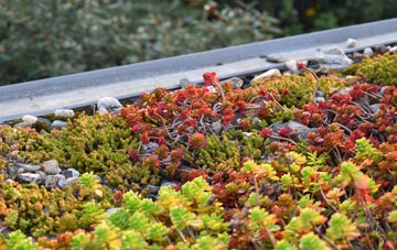 the cost of Singleborough green roof installation