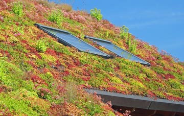 Singleborough living roof systems